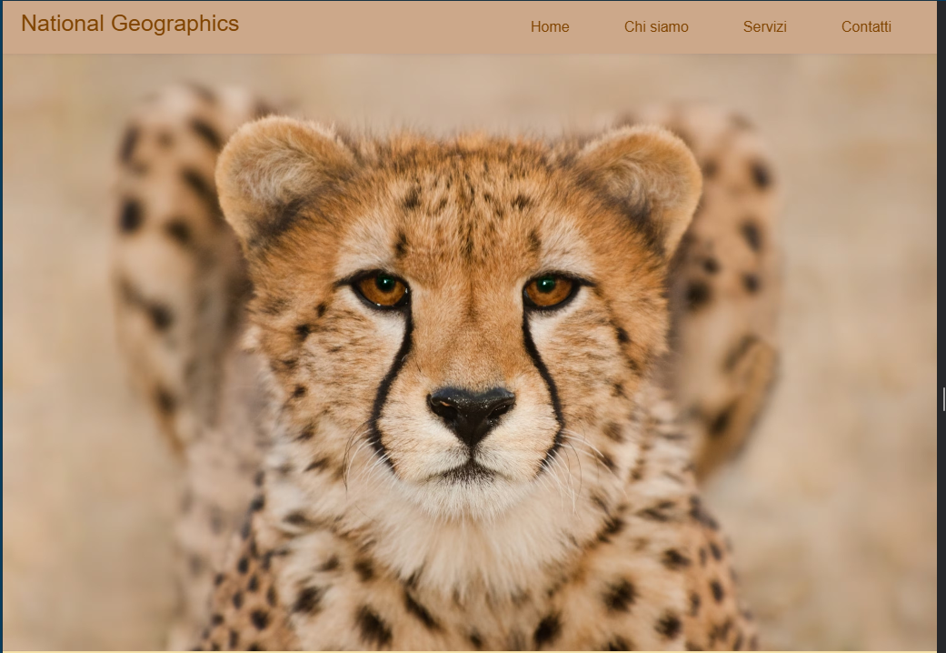 immagine raffigurante una home page di una pagina web responsive con immagine che cambia a seconda della grandezza dello schermo e lo fa anche l'header